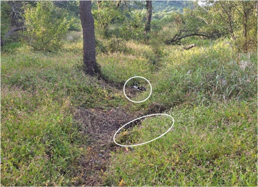 A photo of the blast crater from the landmine explosion in the Demilitarized Zone, released at a Joint Chiefs of Staff briefing at the Ministry of National Defense in Yongsan-gu, Seoul, on Monday. [Joint Chiefs of Staff]