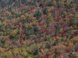 October arrives with a chill: Crisp weather in store for long weekend