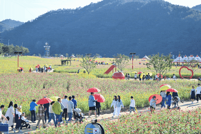 [청송군 제공]