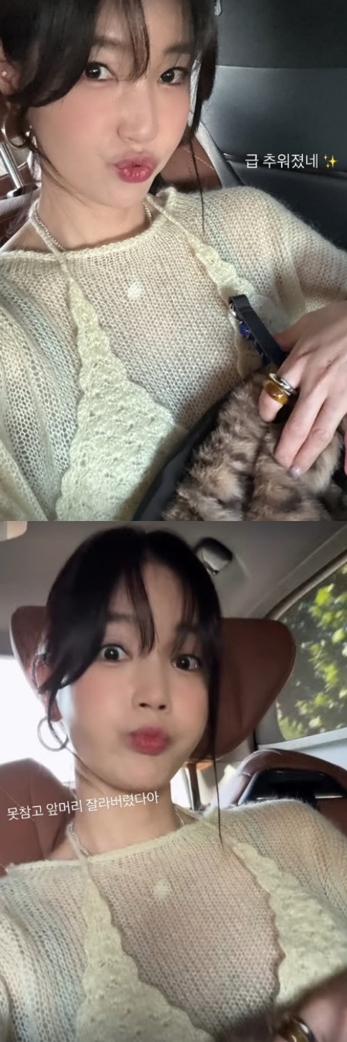 기은세 채널
