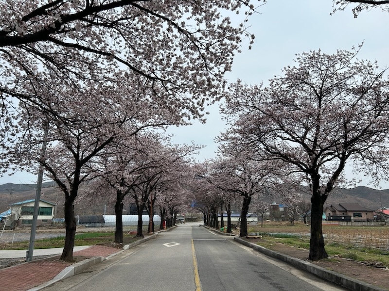 강원특별자치도 강릉시 옥계면은 동쪽은 바다, 서·남·북쪽은 산으로 둘러싸인 평지 지대이다. 과거엔 탄광도 있었다. 임해 산업단지·관광단지 또는 무역항의 조건을 갖추었다는 평가를 받는 곳이다.