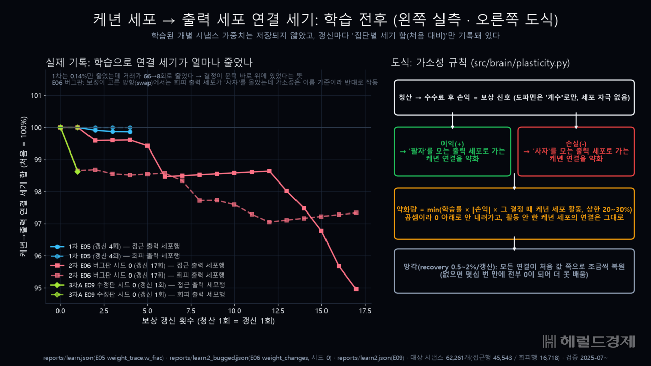학습이 진행될 때마다 변화하는 신호 세기.