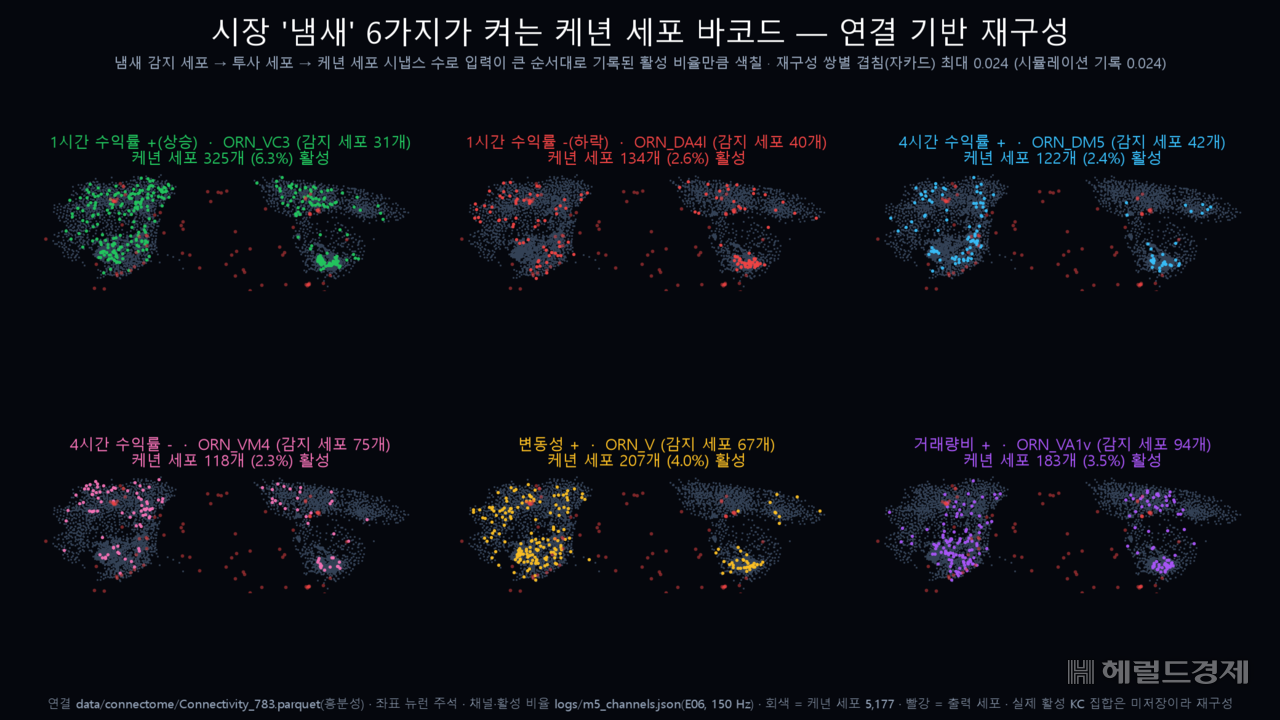 냄새 6가지에 각각 반응하는 케년 세포를 배선 연결 구조를 바탕으로 재구성한 그림.