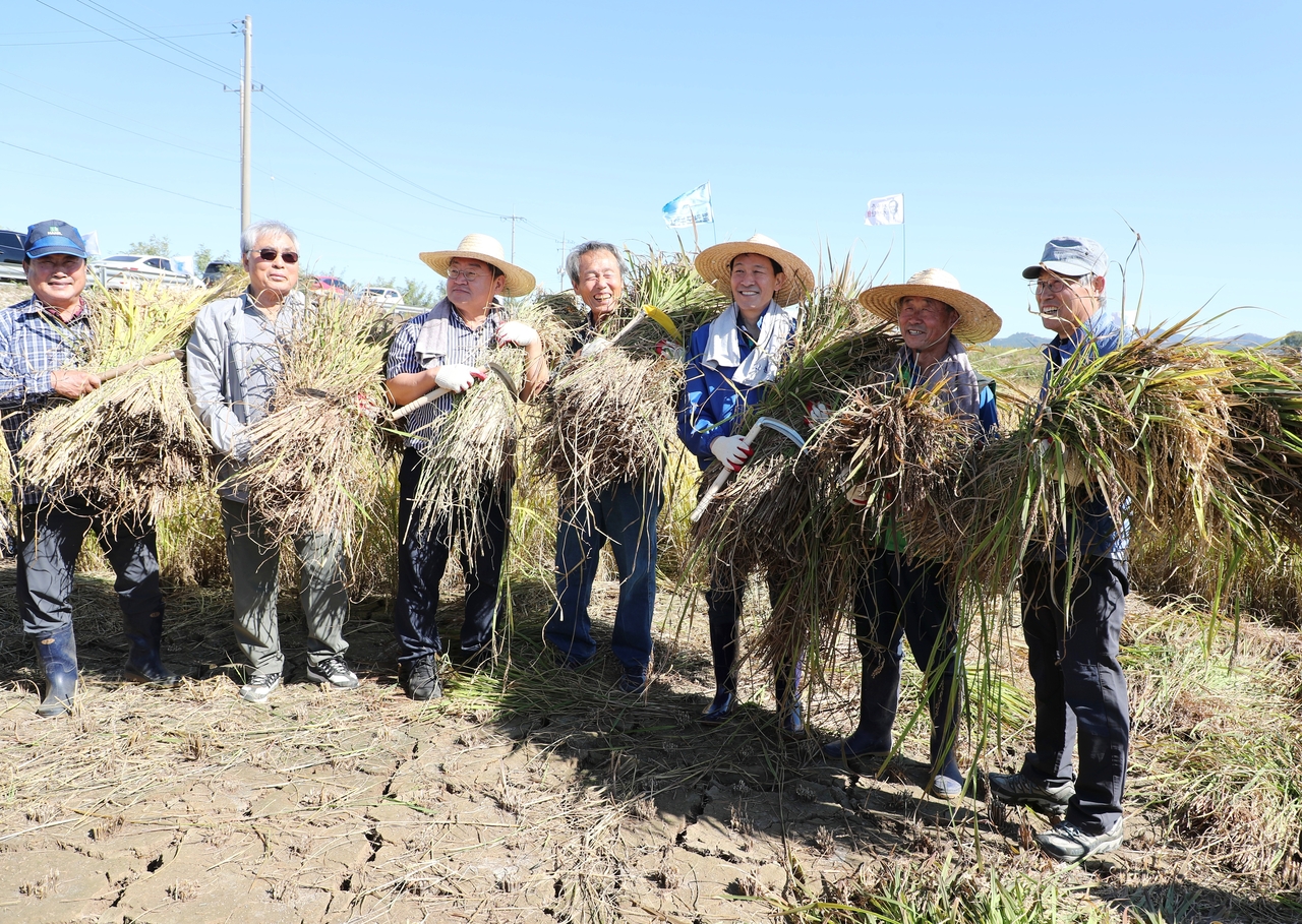 Residents and officials in Cheorwon share the joy of the unification rice harvest.