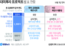 도널드 트럼프 미국 대통령이 석유 관련 프로젝트에 한국이 84억 달러를 투자할 것이라고 2일(현지시간) 밝힌 데 대해 우리 정부는 한미 전략적 투자 합의에 포함되지 않은 내용이라며 진위 파악에 나섰다. [연합]