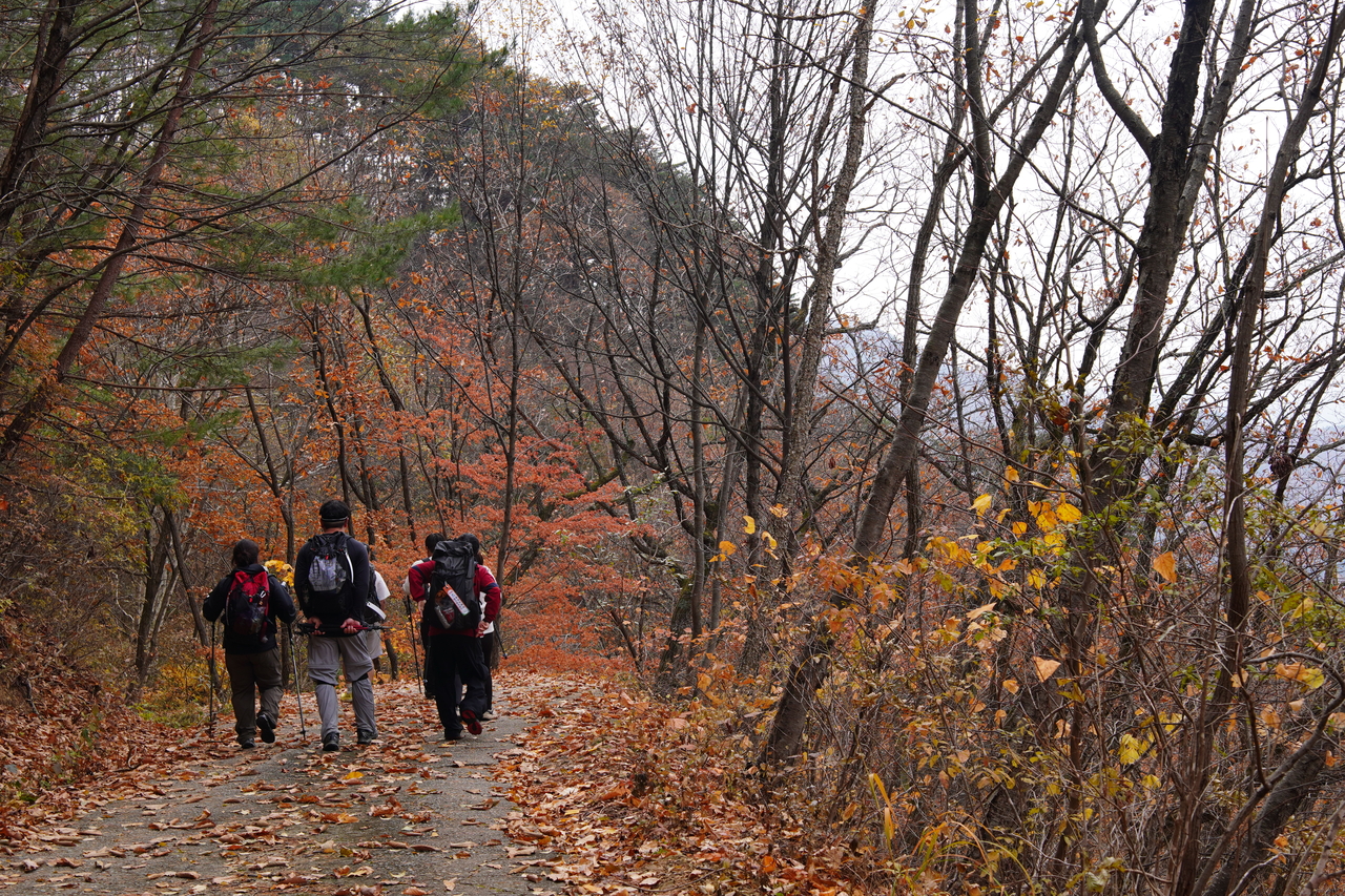 지난해 열린 동서트레일 트레킹 모습.[경북도 제공]