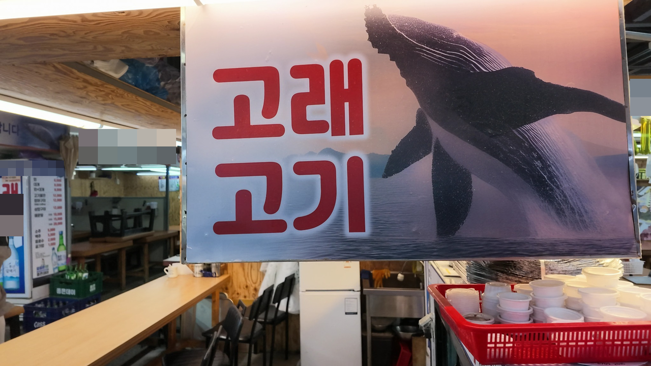 고래고기 판매점.[환경운동연합 제공]