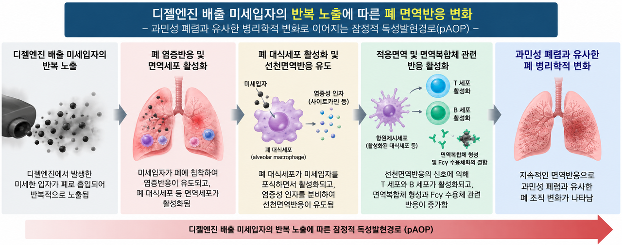 Changes in pulmonary immune response following repeated exposure to diesel engine exhaust particles (AI-generated image). [Provided by KIT]