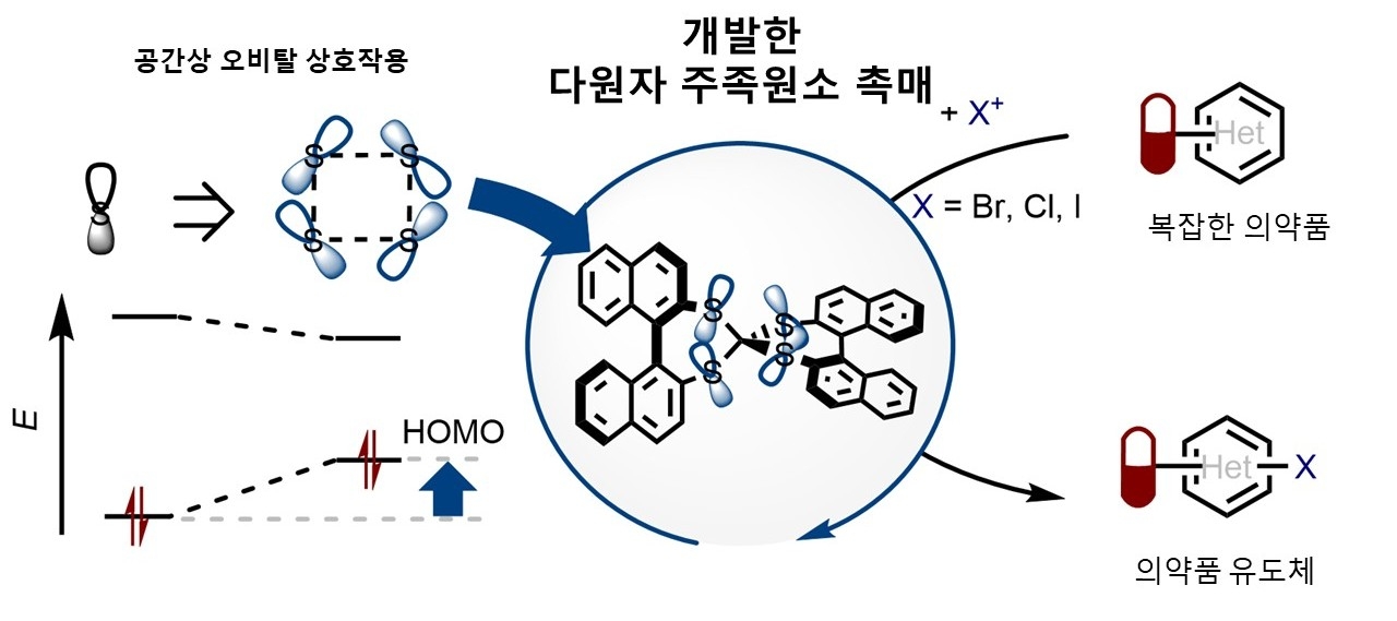다원자 주족원소 촉매의 작동 원리와 의약품 분자 변환.[서울대학교 제공]