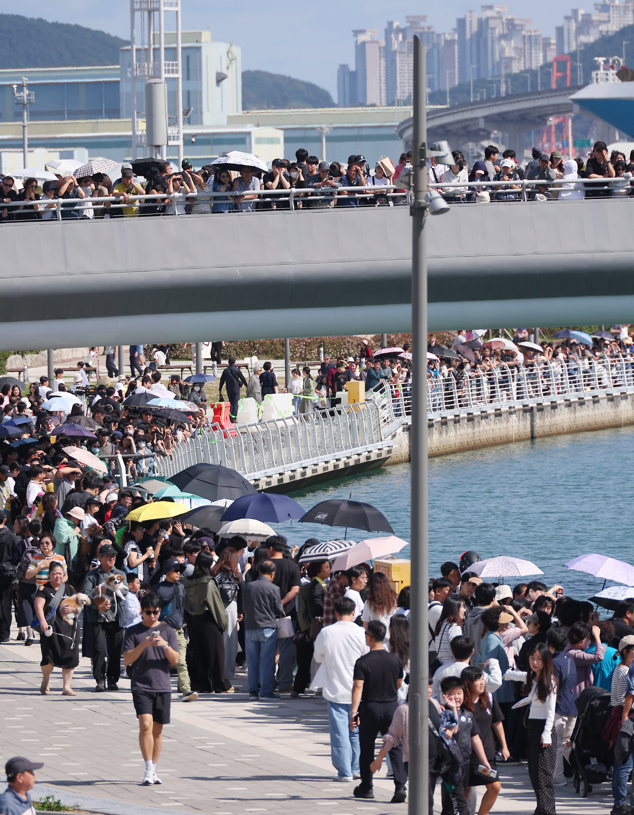 Crowds gather to see Bukang-i, a shark staying in a waterway at Busan’s North Port Waterfront Park, on Oct. 4. (Yonhap)
