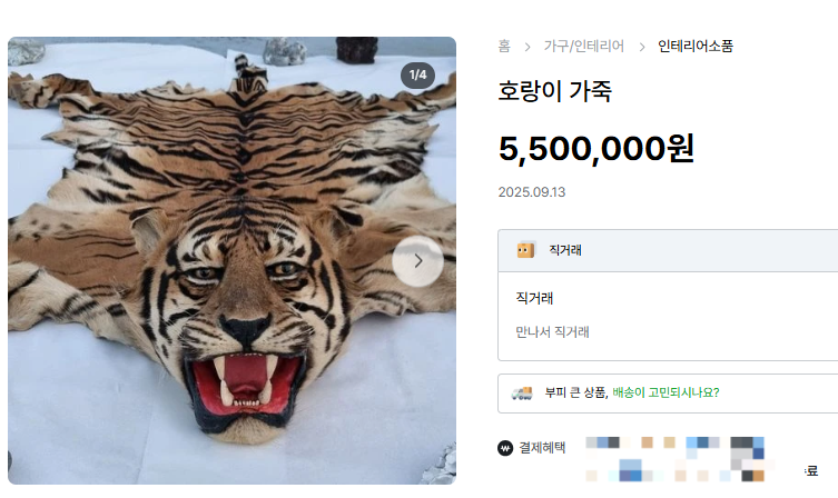 호랑이 박제가 중고거래되고 있다.[중고나라 ‘호랑이 박제’ 판매 페이지 갈무리]