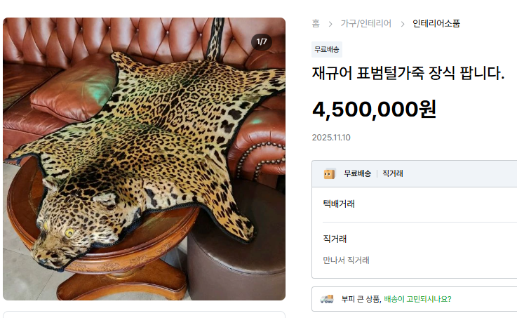 재규어 가죽이 판매되고 있다.[중고나라 ‘재규어 표범털가죽’ 판매 페이지 갈무리]