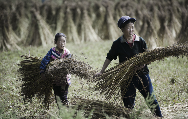 사진은 기사와 무관함[게티이미지뱅크]