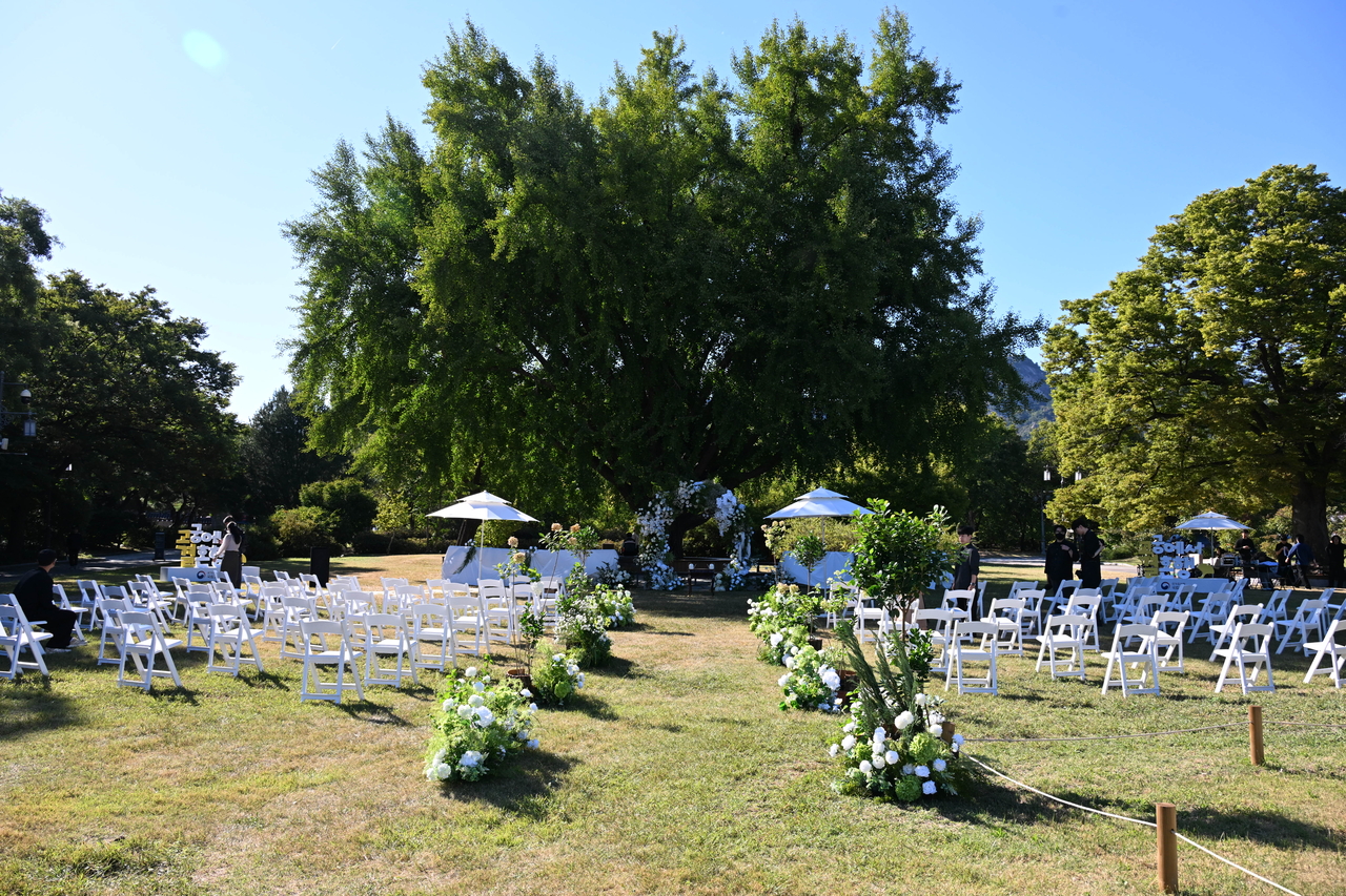 The ginkgo-tree area at the National Palace Museum has been transformed into an outdoor wedding venue. (Korea Heritage Service)