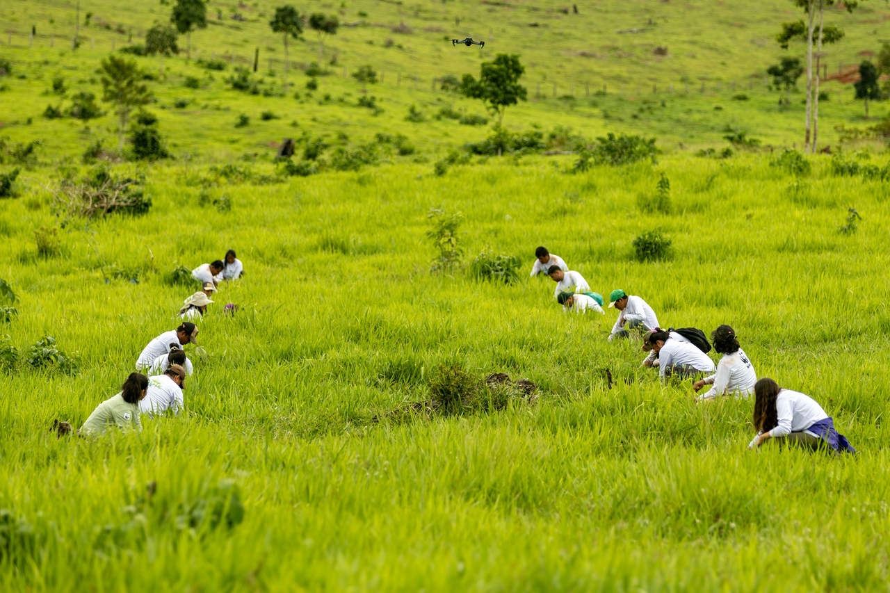 2023년 11월 페루 마드레데디오스주에서 진행된 ‘생태적으로 가치 있는 산림 보전(Conserving ecologically valuable forests)’을 위한 첫 번째 복원 활동에 참여중인 자원봉사자.[WWF 제공]