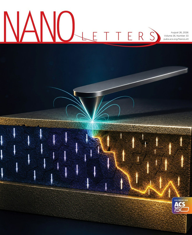 The cover of Nano Letters, the international academic journal in which the study was published. [Provided by KAIST]