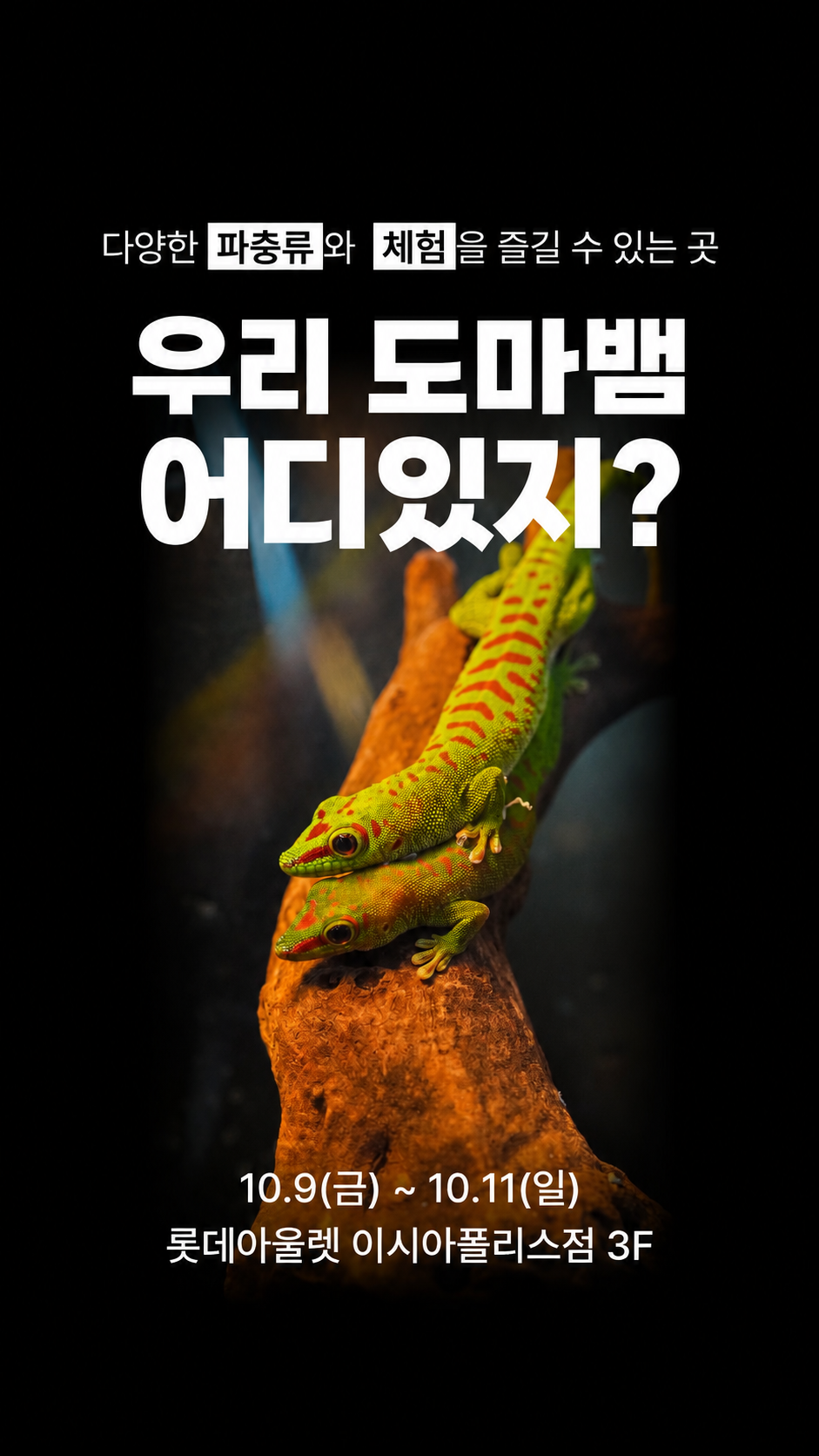 롯데아울렛이시아폴리스점에서 진행하는 ‘우리 도마뱀, 어디 있지?’ 체험형 파충류 팝업스토어 메인 이미지.[롯데백화점 제공]