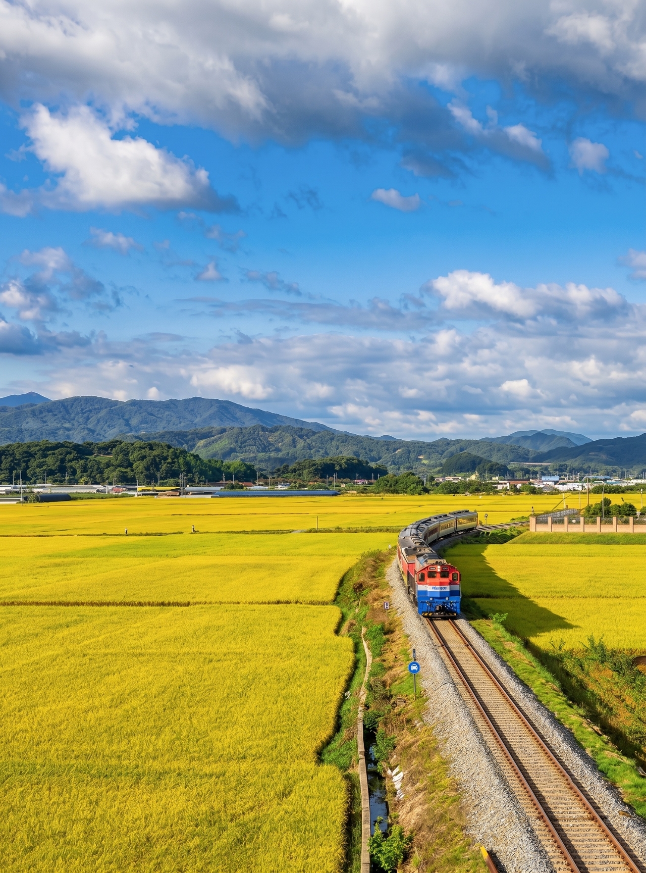 A Mugunghwa train cuts through golden autumn fields in Cheongni-myeon, Sangju. [North Gyeongsang Culture and Tourism Corporation]
