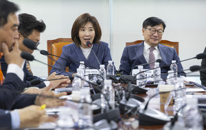 Opposition bigwig slams Lee over Ukraine dispute, thanks Zeleskyy for NK POWs