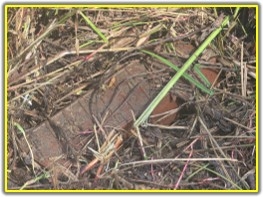 A North Korean plastic anti-personnel mine identified during a joint field investigation into the mine explosion in the demilitarized zone involving the Army's 25th Infantry Division. The Joint Chiefs of Staff released the image Thursday when announcing the final findings of the joint field investigation task force. [Joint Chiefs of Staff]