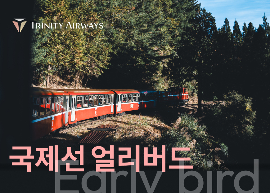 트리니티항공이 오는 23일까지 홈페이지와 모바일 앱을 통해 해외 노선을 대상으로 ‘국제선 얼리버드 프로모션’을 진행한다. [트리니티항공 제공]