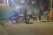 각목 들고 살벌한 패싸움 우리 동네도 안심 못한다…늘어나는 외국인 강력범죄, 국적도 다양해졌다 [세상&]