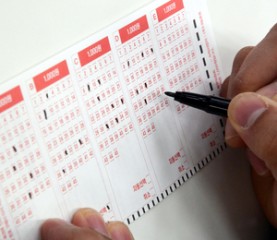 같은 번호로 ‘복권 50장’ 샀는데…‘전부 당첨’ 잭팟, 어떻게 이런 일이?