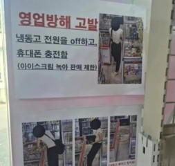 Woman unplugs freezer to charge phone, leaving shop owner with melted ice cream