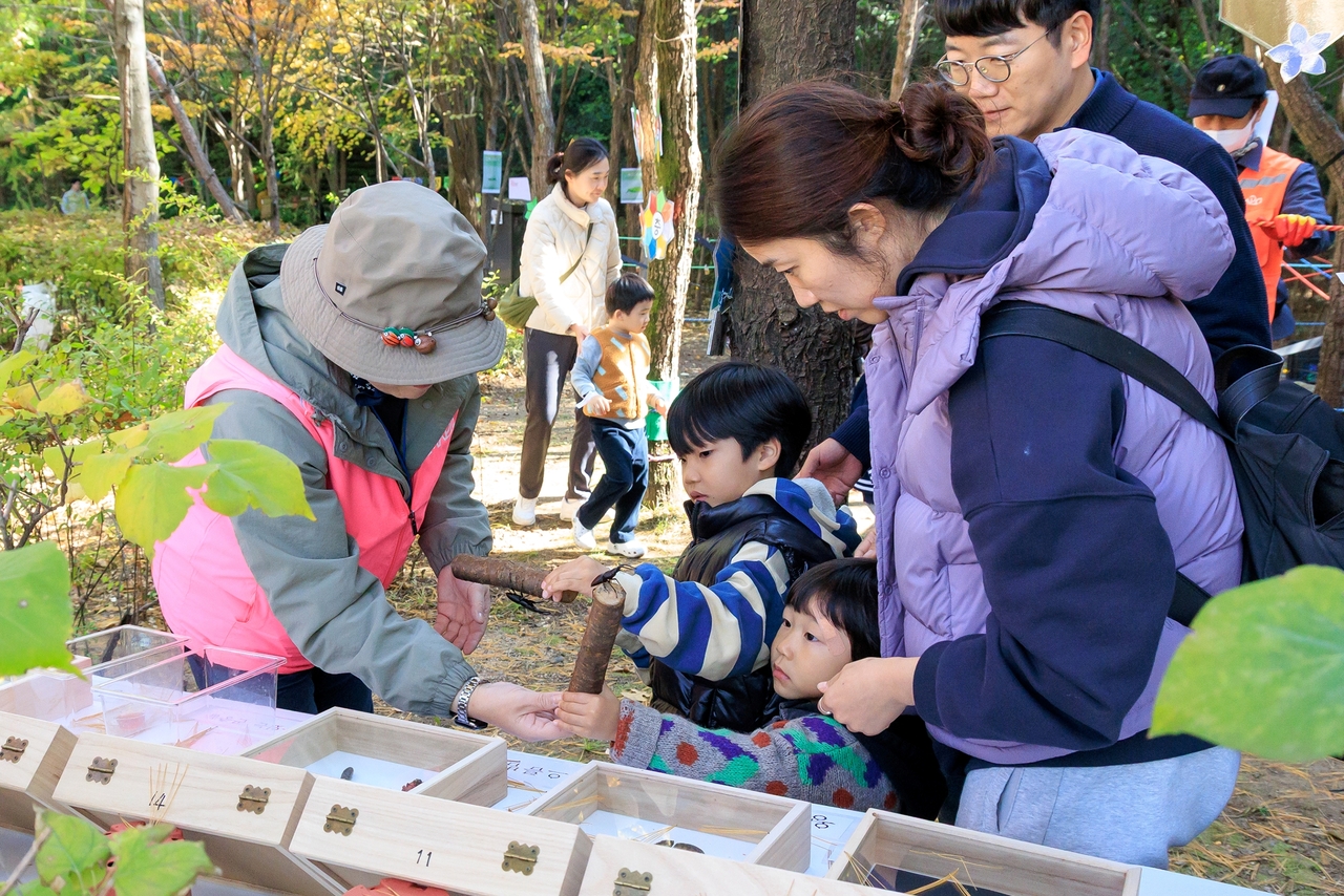 유아숲 체험