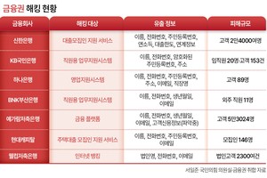 금융당국, ‘쪽문<업무지원시스템>’ 보안평가 항목 신설