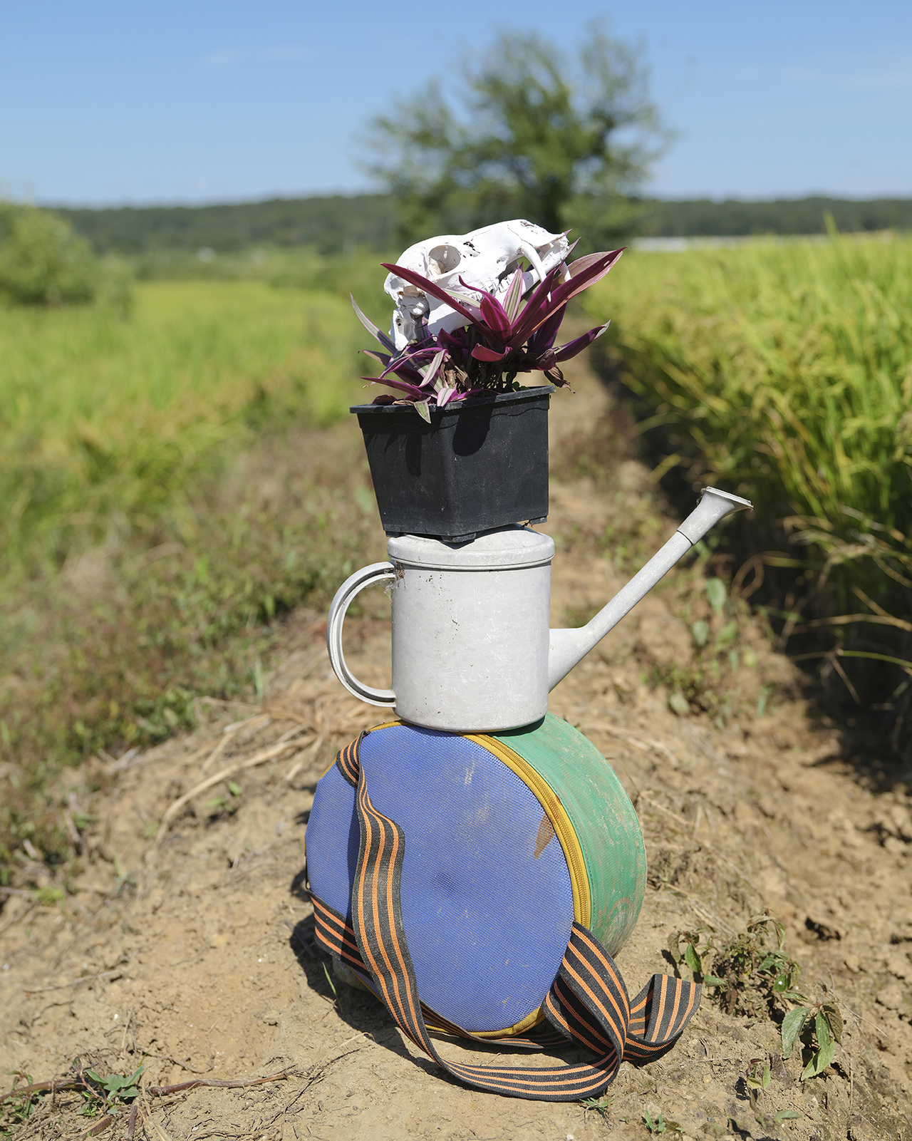 A work from Lee Yeeun’s “People of Baegyeon-ri” series (2026) at Pyeonghwa Nuri Park in Imjingak, Paju, Gyeonggi Province (Gyeonggi Province)