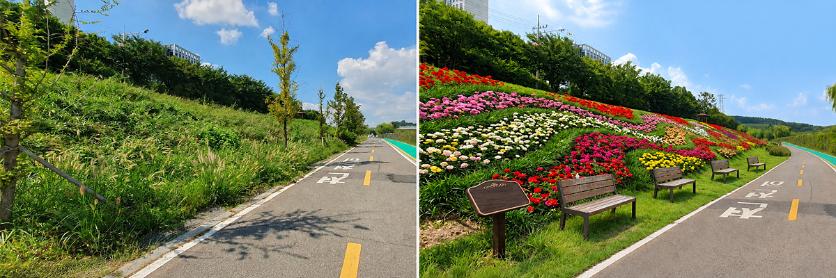Before and after views of the Anyangcheon riverbank