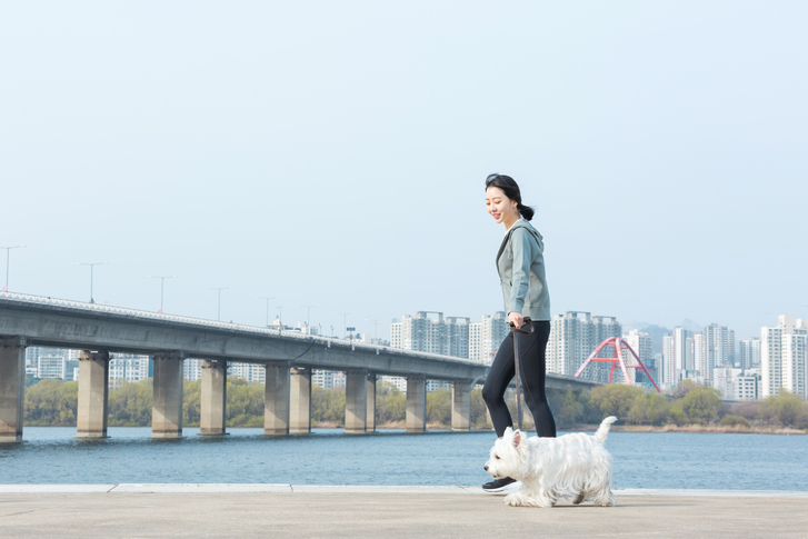 사진은 기사와 무관함[게티이미지뱅크]