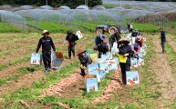 [Exclusive] E-9 workers near border up 52% since 2021