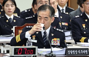 경찰 수장 수사 경력 3년…檢 폐지 후 첫 국감 경찰 수사 역량 뭇매 [세상&]