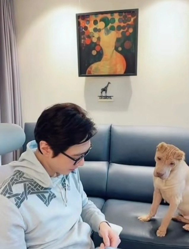 고지용 채널