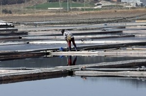신안 염전서 10년 ‘노예 생활’ 지적장애인…착취 업주 ‘징역 3년’