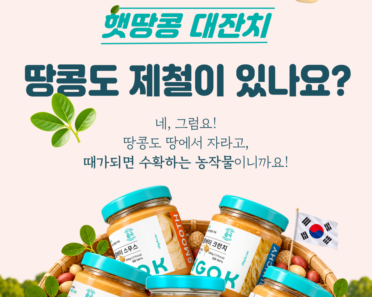 [옳곡 제공]