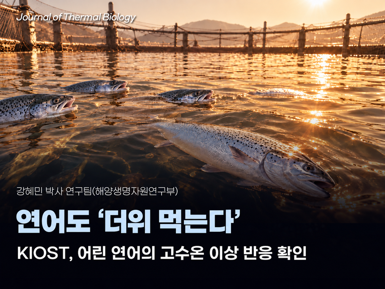 연구성과 이미지 [한국해양과학기술원 제공]