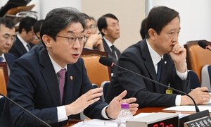 Korean regulators face scrutiny as stock market volatility persists