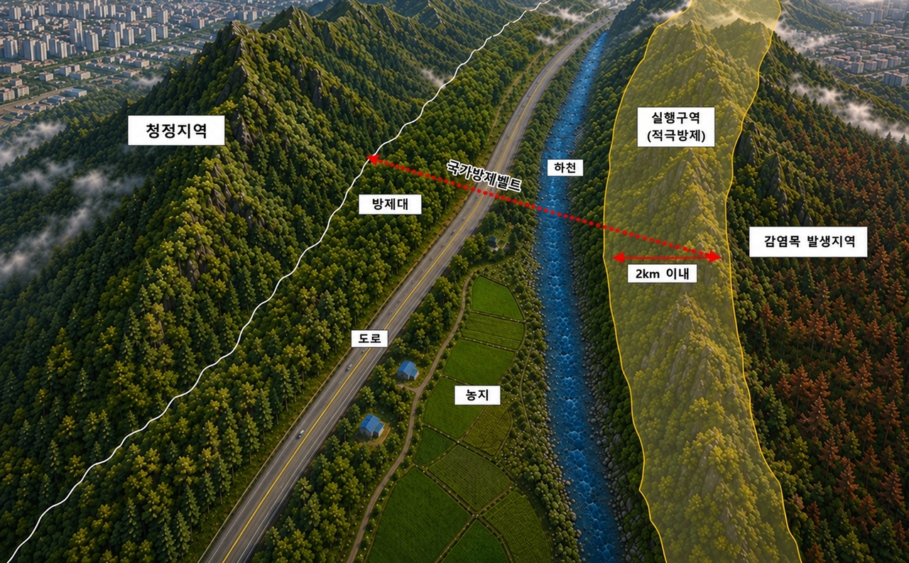 소나무재선충병 국가방제벨트 모식도.