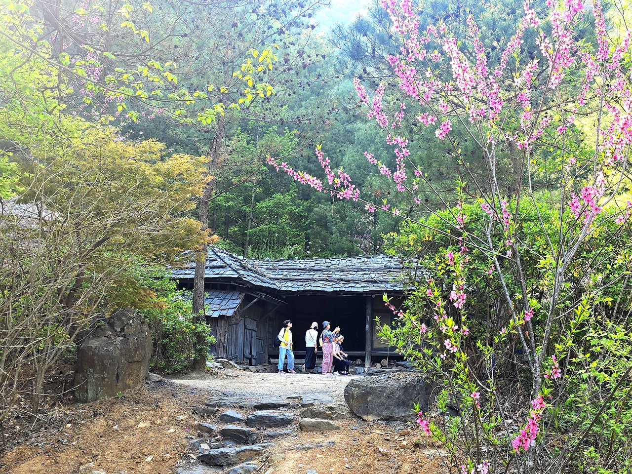 평창 미탄. 웰컴투 동막골 세트장