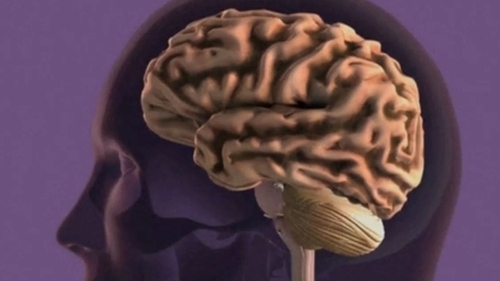 Rare brain-invading fungus surges fourfold in US, with fatality rate up to 70%