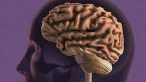 “멀쩡하던 사람 뇌까지 침투”…치명률 최대 70% ‘공포의 곰팡이’