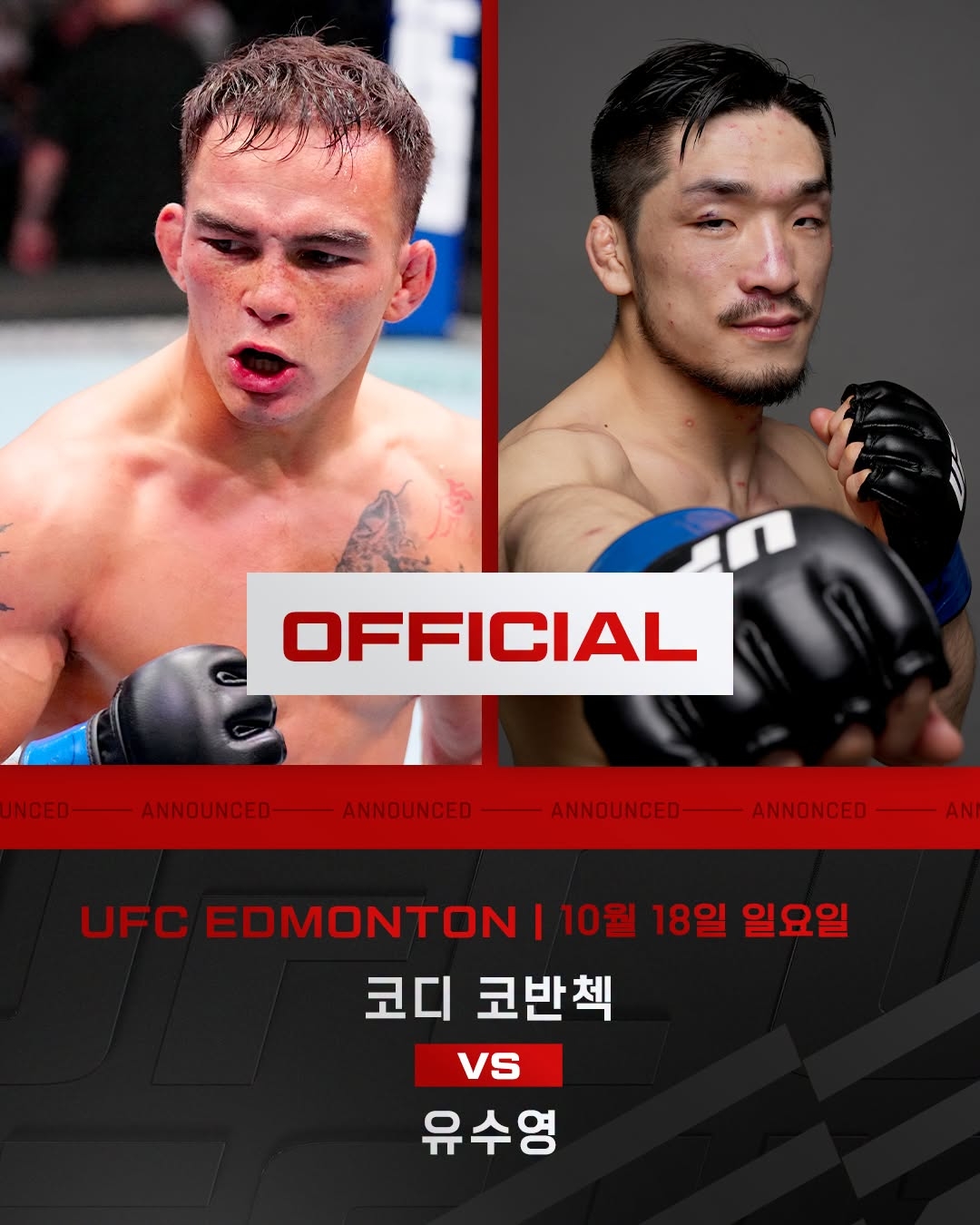 UFC 파이트나이트 코디 코반첵 vs 유수영 포스터