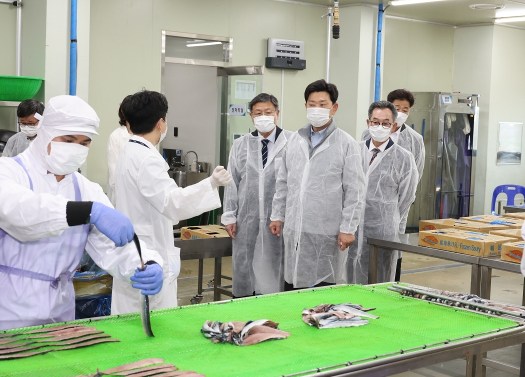 포항시는 본격적인 과메기 출하 시기를 앞두고 16일 남구 구룡포읍 과메기 가공시설을 방문해 생산 준비 상황과 원료 수급 여건을 점검했다.[포항시 제공]