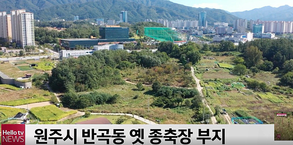 원주 옛 종축장 [Hello TV 뉴스 화면캡쳐]
