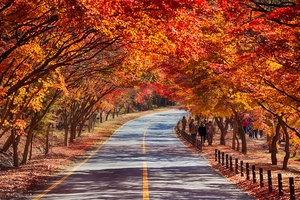A must-try challenge: Hiking Korea's mountains