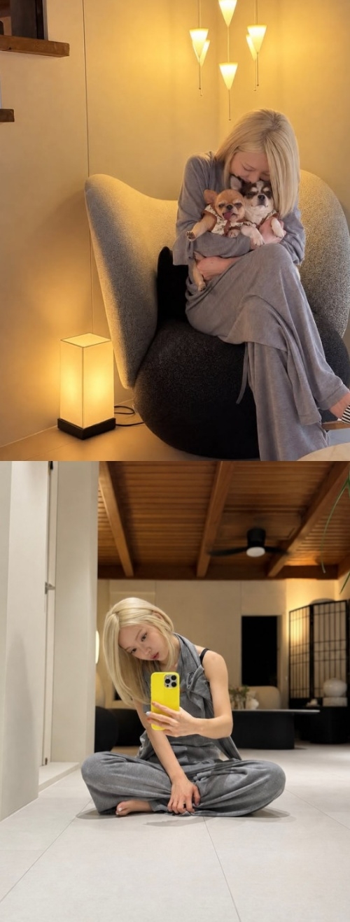 초아 채널