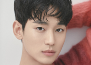 Kim Soo-hyun seeks shutdown of right-wing YouTube channel HoverLab